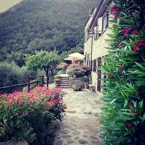 Castagnola 64 Bed & Breakfast
